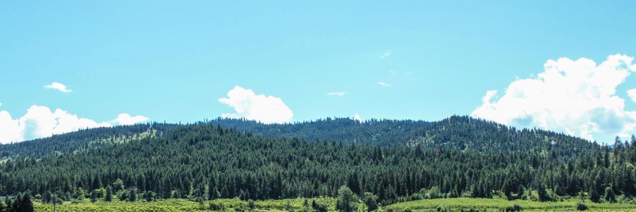 Wedge Mountain Inn Peshastin Dış mekan fotoğraf